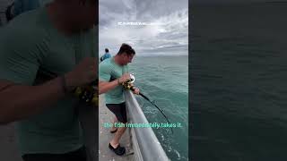 100M Views! Live Bait Fishing Gone WILD — The Pull Is INSANE!
