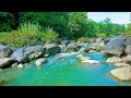 Gentle River Ambience for Sleep – 12H Pure Nature Sound
