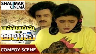 Anasuyamma Gari Alludu Bhanu Priya , Sharadha Comedy Scene Bala Krishna