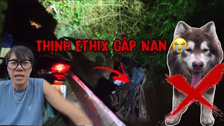 Dương KC Hốt Hoảng ! Thịnh Ethix Gặp Nạn Khi Tìm Gấu Alaska Khổng Lồ