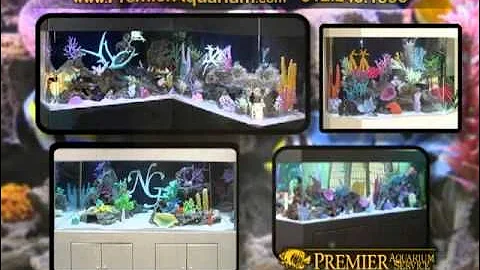 Premier Aquarium Service Commercial Airing During Animal Planet's New Show Tanked
