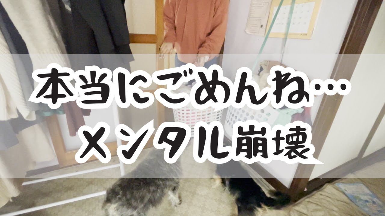 【シングルマザーVlog】子育ての苦悩…怒る自分が嫌になる…