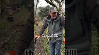 Clearing and building the apiary