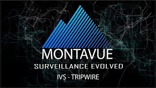 IVS-TripWire (Old Blue Firmware)