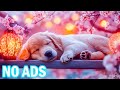 12 Hours of Gentle Healing Music for Anxious Dogs🐾Soothing Relaxation to Help Dogs Sleep