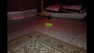 FxGuru: Mini Tsar Bomba