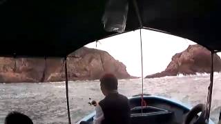 新手釣赤毛