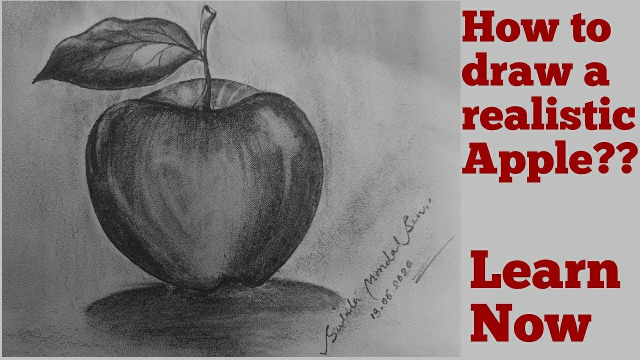 How to Draw An Apple in Pencil I step by step how to use pencil strokes