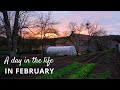 Market Gardening in February (A Day in The Life of a Farmer in February)