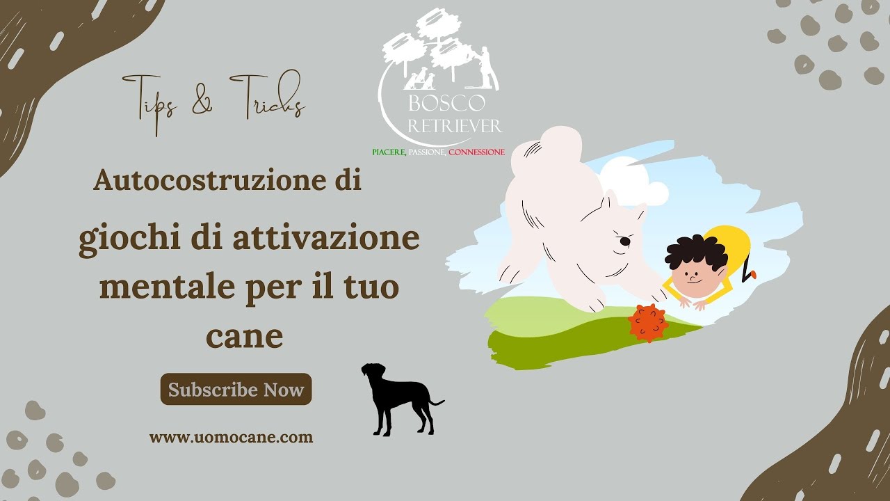 Giochi di attivazione mentale cane fai da te 