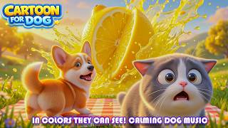 Dog TV Cartoons 🐶 Help Dogs Relax & Stay Happy When Left Alone – Anti-Anxiety screenshot 1