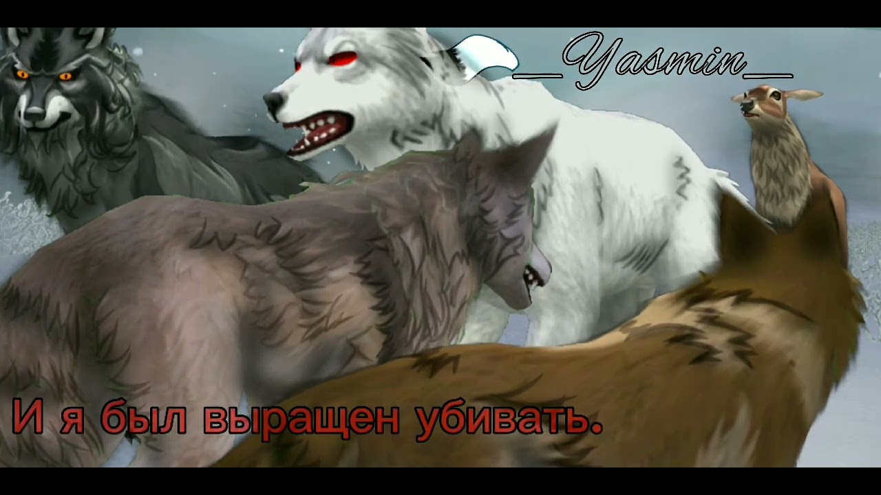 Dear Rabit на мап Асами 7 часть: Dear Rabbit #вайлдкрафт @lost8291 - YouTube