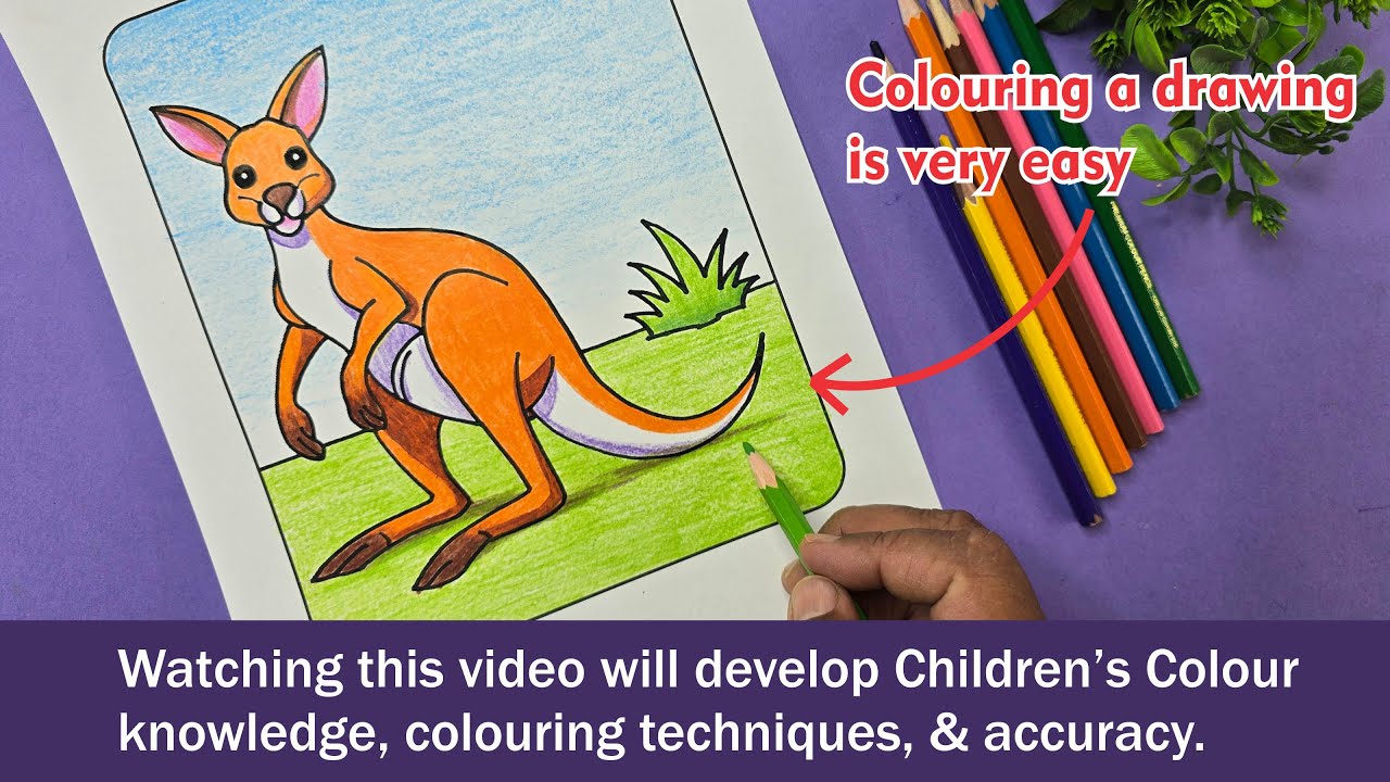 How to colour Kangaroo?, kangaroo colouring for beginners, kangaroo ...