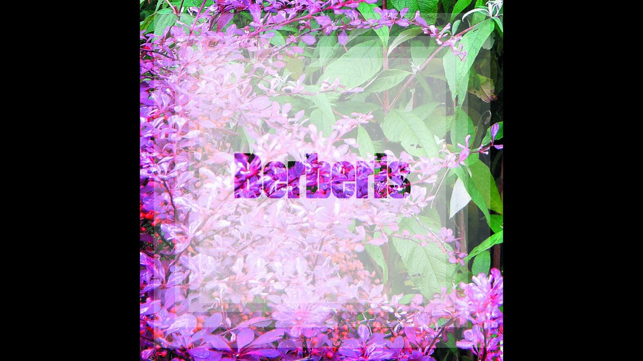 Watch Marcelo Arias - S.e.d (Original Mix) on YouTube Watch Marcelo Arias - S.e.d (Original Mix) on YouTube
