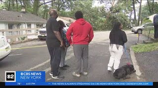 Family safe after tree falls, slices through roof