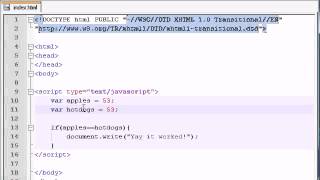 Beginner JavaScript Tutorial 14 if Statement