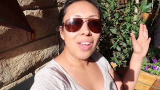Big Box store vs Local Nurseries Which is better?