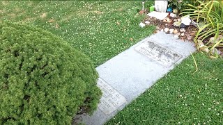 TheDailyWoo - 759 (7/30/14) Shannon Hoon Grave Site