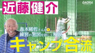 近藤健介キャンプ合流！森本稀哲さんが練習の意図を解説【2/8 ファイターズキャンプ】（北海道日本ハムファイターズ）