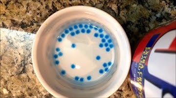 Orbeez Growing Time Lapse