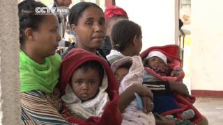 Fight against polio is bearing fruits in Ethiopia