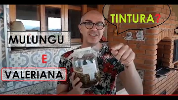 Quantas gotas tomar de tintura de valeriana?