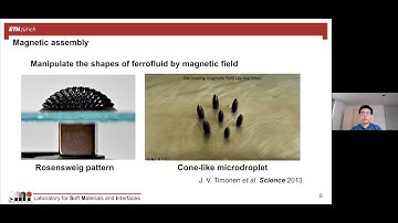 CFTC seminar: Self-Assembly of Colloidal Nanomaterials towards Multi-Functional Supraparticles