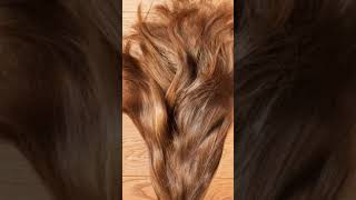 Macrofying Objects Into The Macro World Viral Video