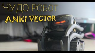 ANKI VECTOR ROBOT/САМЫЙ КРУТОЙ МАЛЫШ РОБОТ ДЛЯ ДЕТЕЙ И ОФИСА 🤖