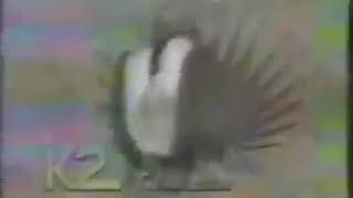 KTWO-TV 2 ID 1987