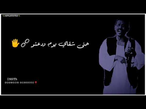 اجمل حاله واتس محمد النصري اماني