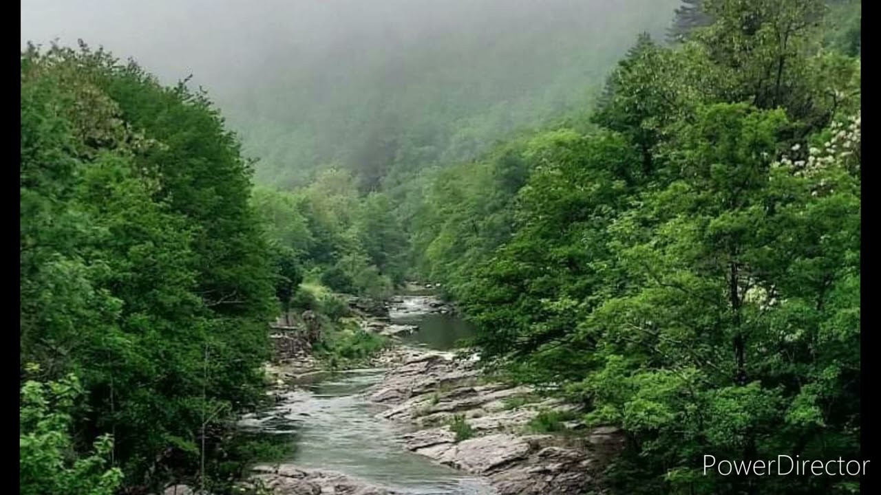 Djeli Seyba Lamine Sissoko