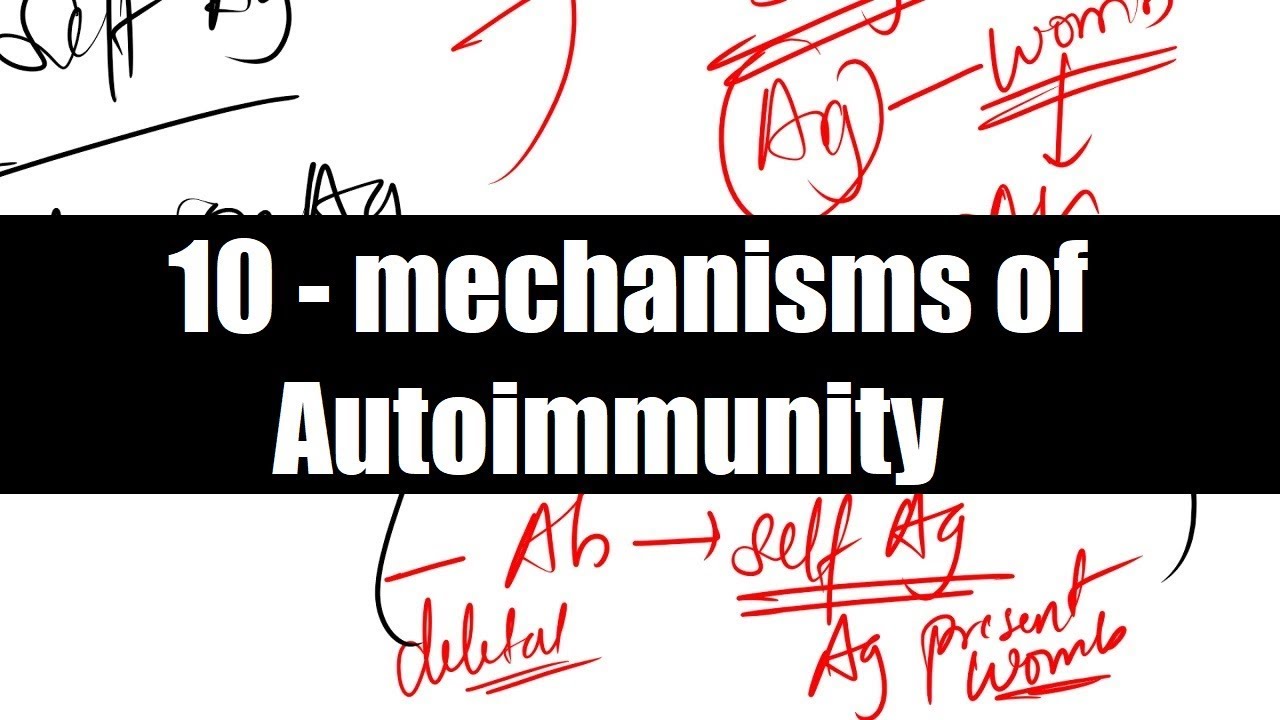 Mechanisms of Autoimmunity ( Immunology / Pathology / Microbiology / Medicine ) ( NEET PG )