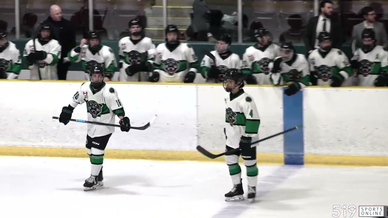 GOHL - Пелхэм Пантерз против Форт-Эри Метеорз