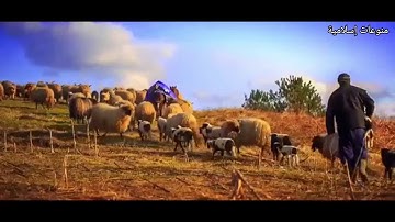 سورة المؤمنون - الأية 21-22 "إن لكم في الأنعام لعبرةً "