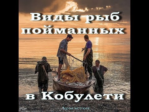 Виды рыб Кобулети  Дополненное  Kobuleti კობულეტი çürüksu Аджария Грузия