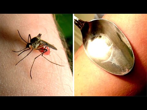9 Tricks To Make Mosquito Bites Stop Itching That You'll Wish You Knew Sooner!