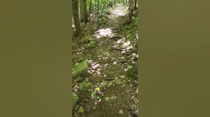 Stratheden Path, Acadia National Park