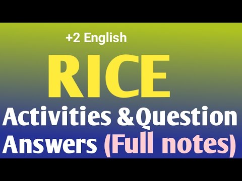 Rice| Appreciation of Rice| Question answers of Rice| Sebi English Hub ...