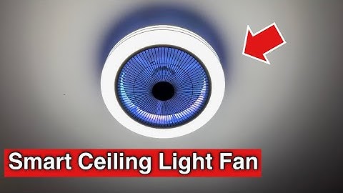 Lumary Smart Ceiling Fan