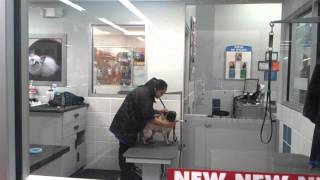 Orri At The Petco Groomers
