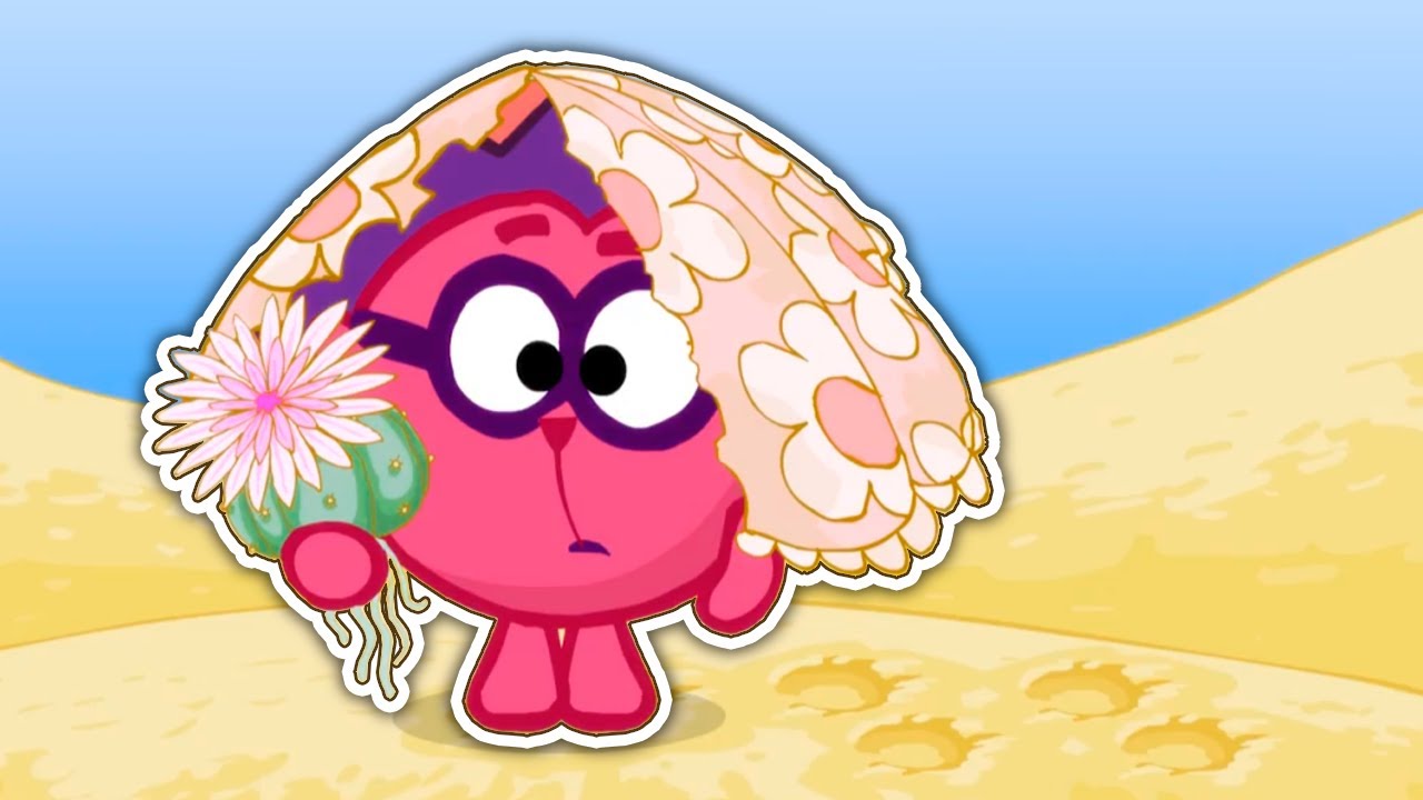 Desert Adventure | Lets' Find The Best Present For Rosa | KikoRiki | Funny Cartoons for Kids