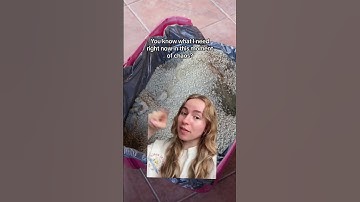 Ease your cat chores #hack