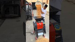 Corn Crusher Machine for Poultry &amp; Cattle Feed Maize Grinder Demo #corncrusher #farmequipment #viral