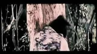 LUNG FEI vs YONGKY DP ( best fight in film EXPEDISI HARTA KARUN)