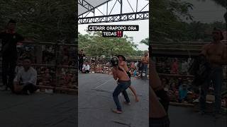 Download Lagu CETARR ORAPOPO ORA TEDAS #tiban #shorts #youtubeshorts MP3