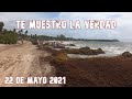 PLAYA DEL CARMEN🌴SARGAZO EXCESIVO🚨ULTIMA HORA | 22 DE MAYO 2021