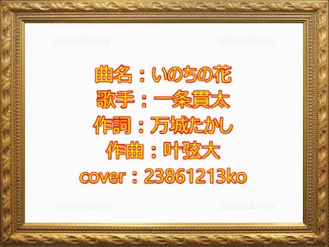 323 いのちの花　一条貫太　cover