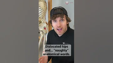 Dislocated Hips And Naughty Anatomical Words Shorts 