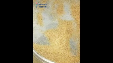 Single Chue Millet Color Sorter